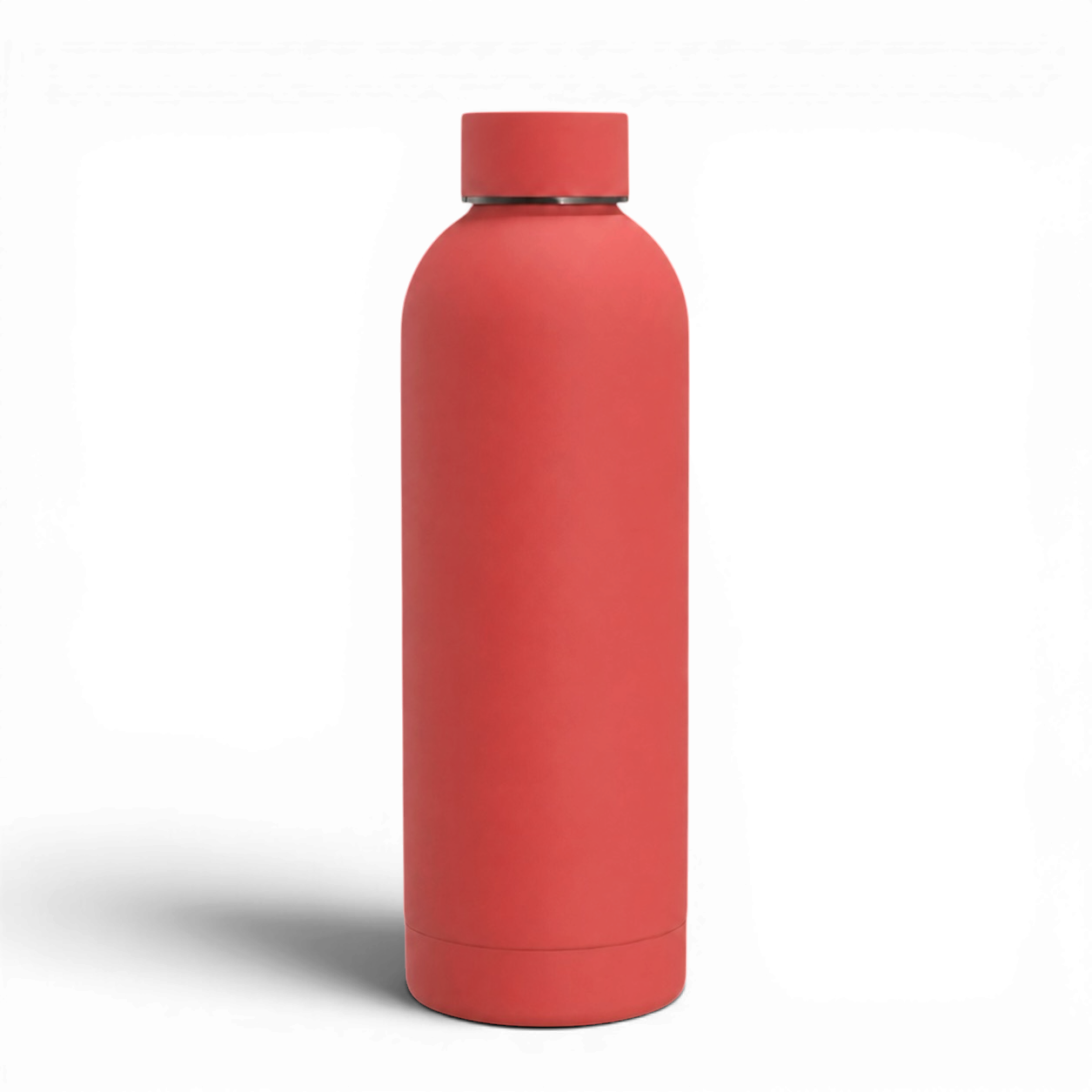 Stainless Steel Insulated Water Bottle