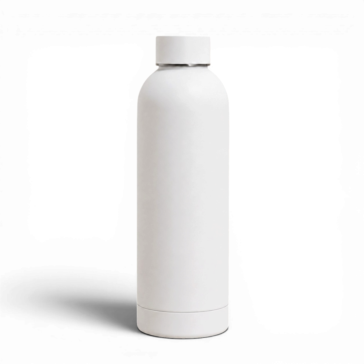 Stainless Steel Insulated Water Bottle