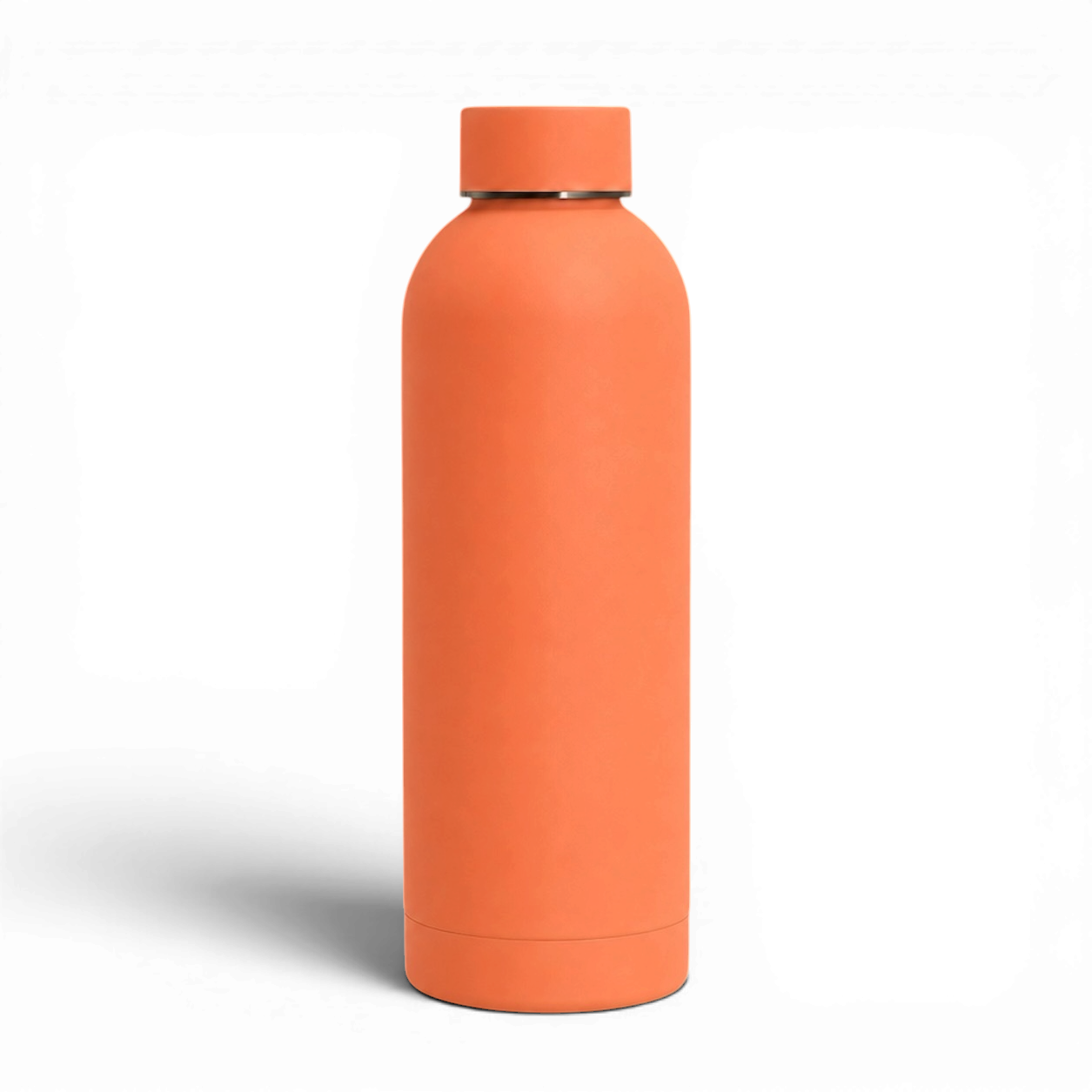 Stainless Steel Insulated Water Bottle