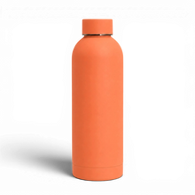 Stainless Steel Insulated Water Bottle