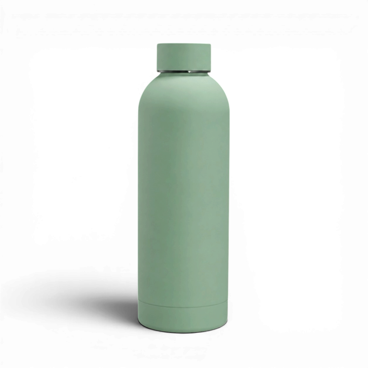 Stainless Steel Insulated Water Bottle