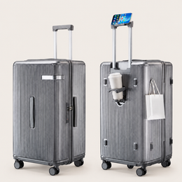 Checked Luggage